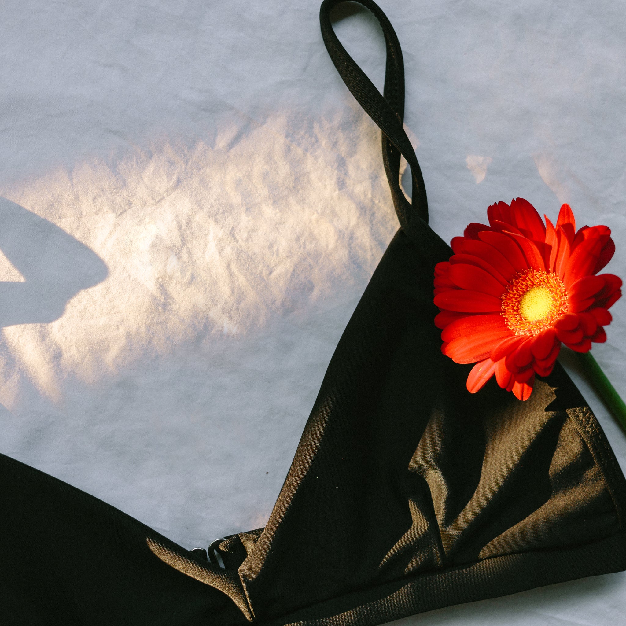 Asha bikini in black